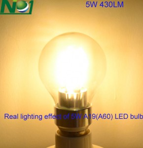 lighting effect of 5W A19 LED bulb