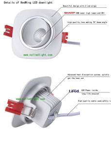Details of Pill shape LED Downlight